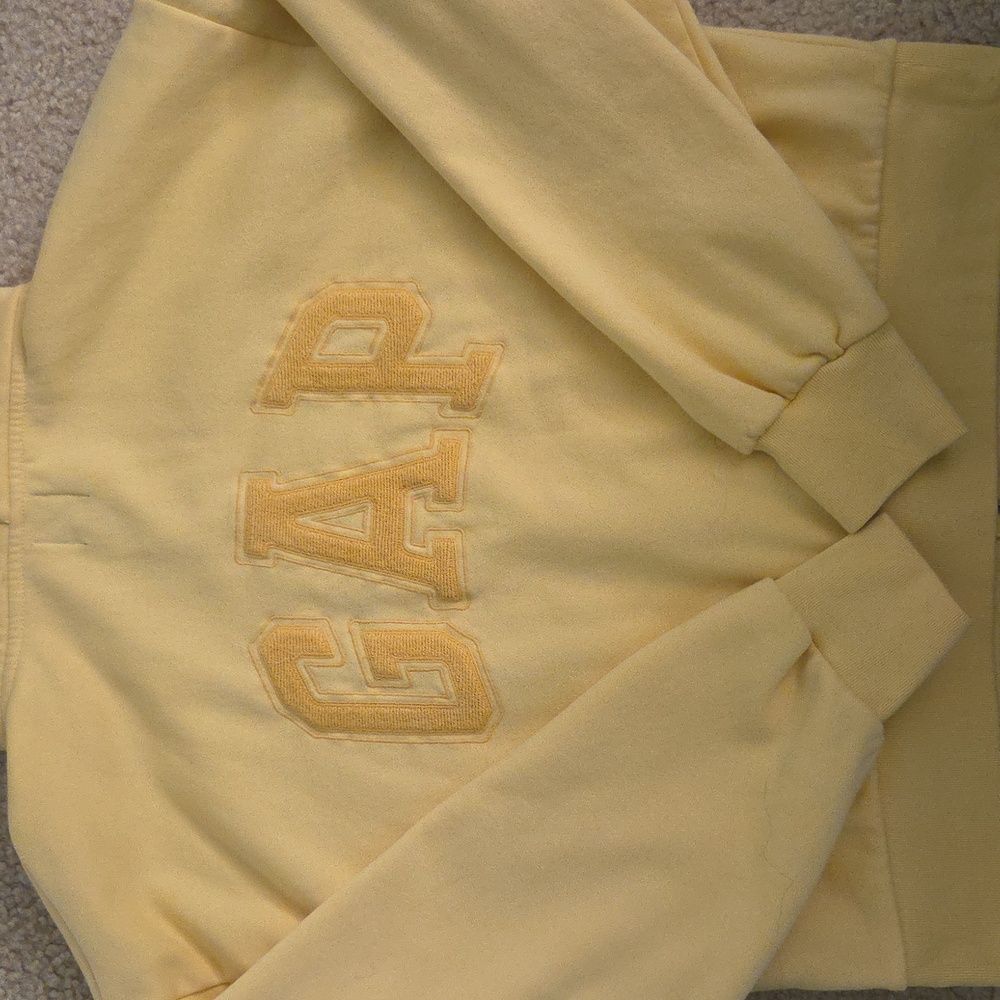 GAP Women's Small Vintage Soft Embroidered Hoodie - Picture 2 of 6